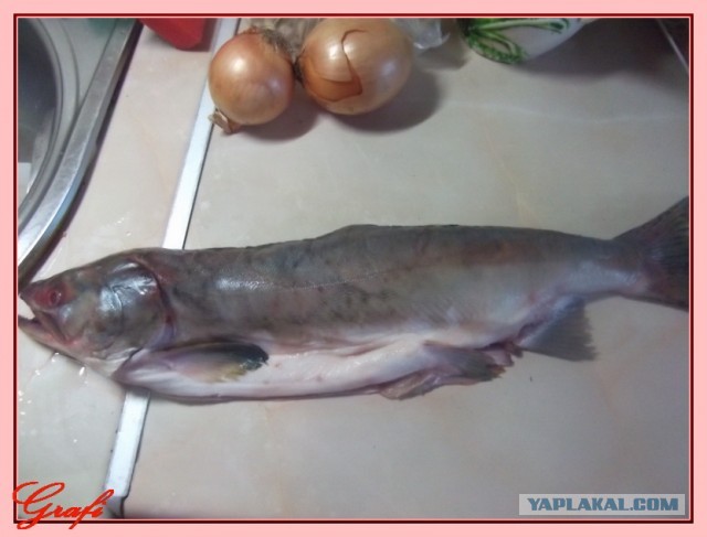 Горбуша запеченная