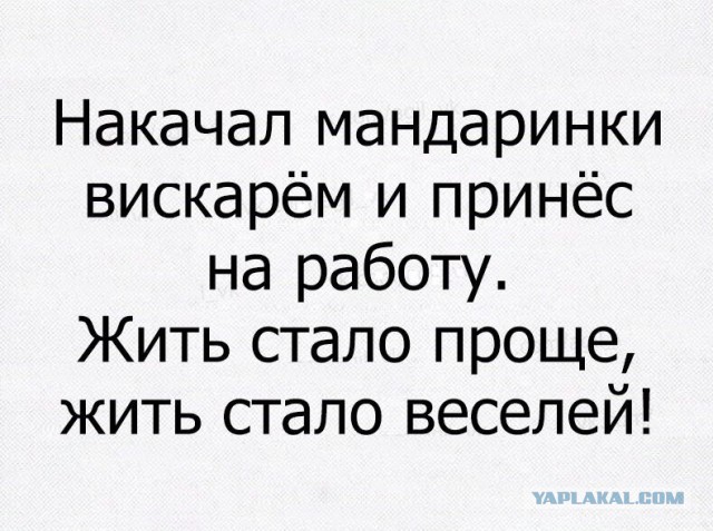 Как я бросил пить
