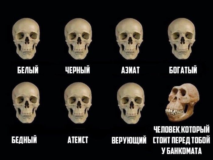 Просто картинки