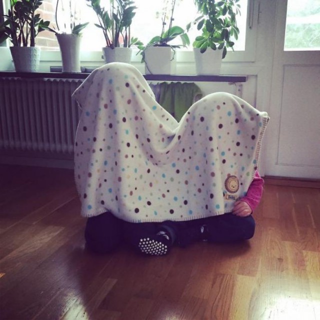 Абсолютные чемпионы по игре в прятки