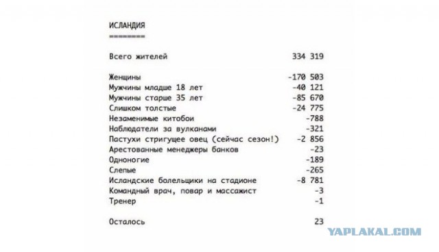 "Какой же кайф болеть за Исландию!"