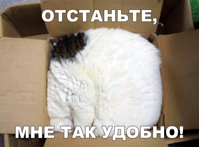 Немного милоты