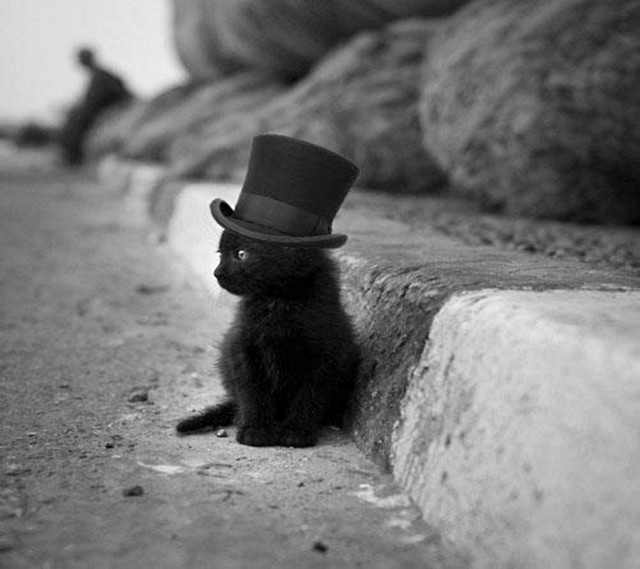 15 фото, которые снимут усталость после тяжелого дня лучше любых лекарств