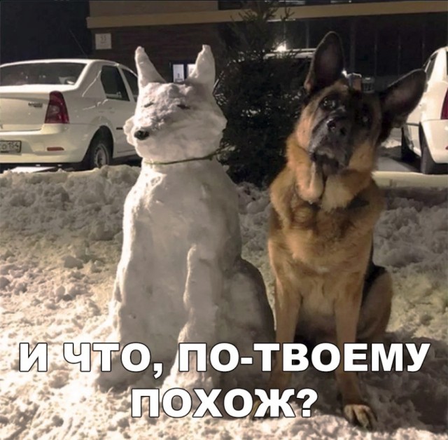 Нестандартный юмор