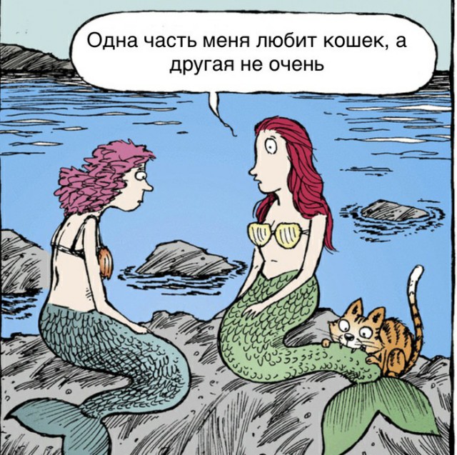 Анекдоты, соц-сети, истории и картинки с надписями