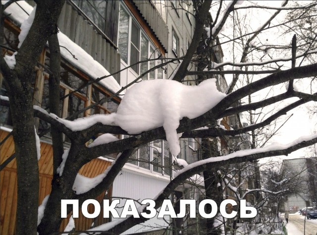 Нестандартный юмор