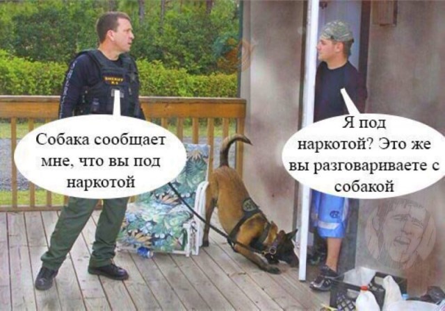 Применим физику в постели или белка и стрелка. Картинки