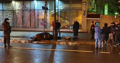 Конь наступил в лужу и умер в центре Москвы