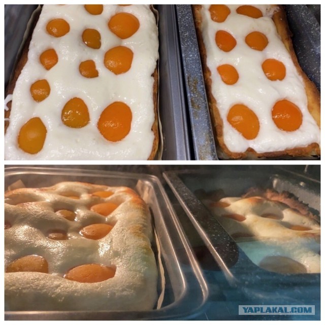 Абрикосово-творожные пирожные