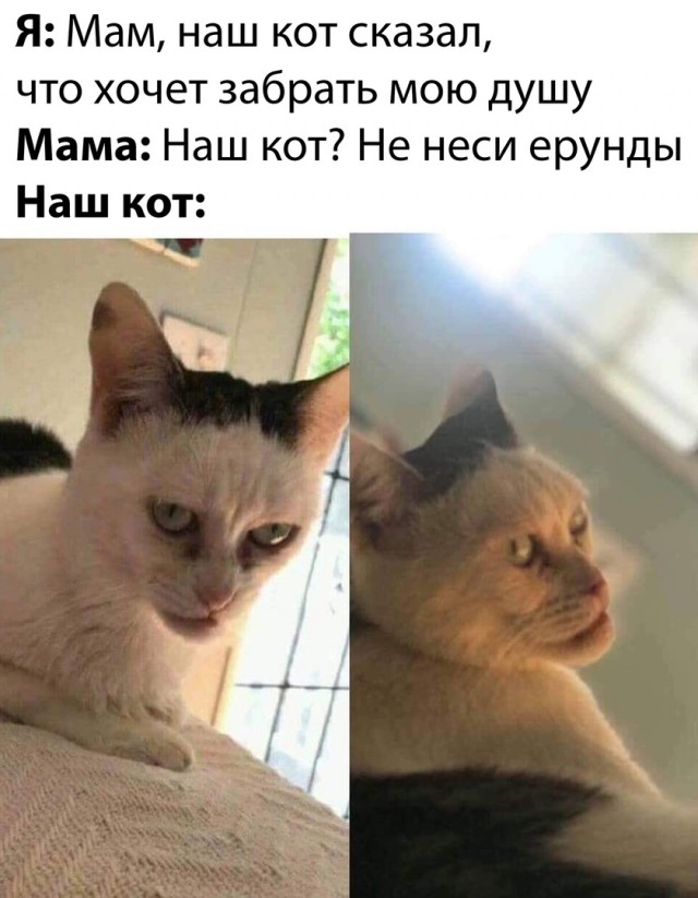 Чуток картинок. Ночные 6