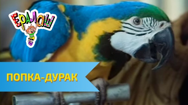 Печенеги десять лет спустя