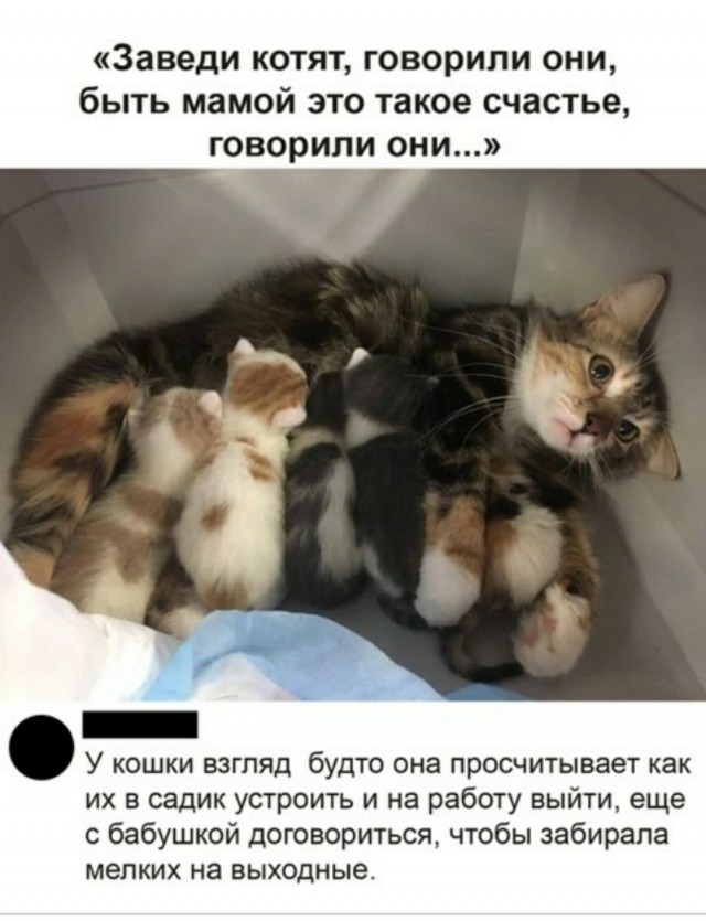 Немного картинок для настроения 24.05.20