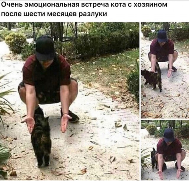 Спустя неделю после пожара мужчина пришел погрустить на пепелище своего дома