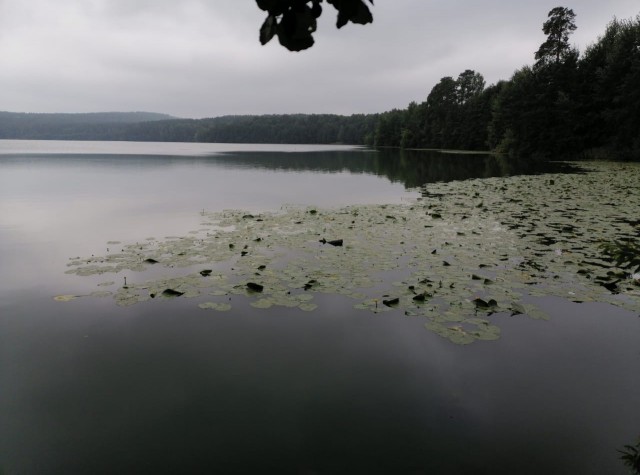 Озеро vs Быдло