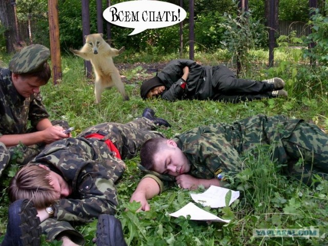 Вратарь