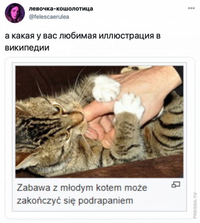 Картинки и мемы для настроения 008