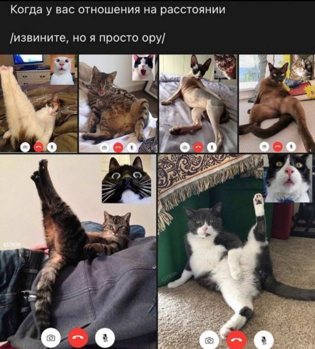 Картинки и мемы для настроения 023