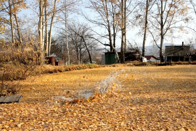 Осень наступила, падают листы