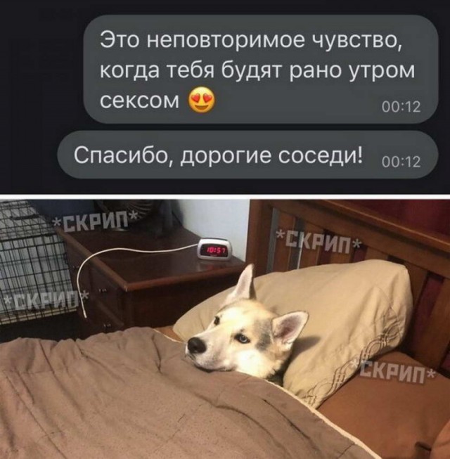 Картинки и мемы для настроения 015