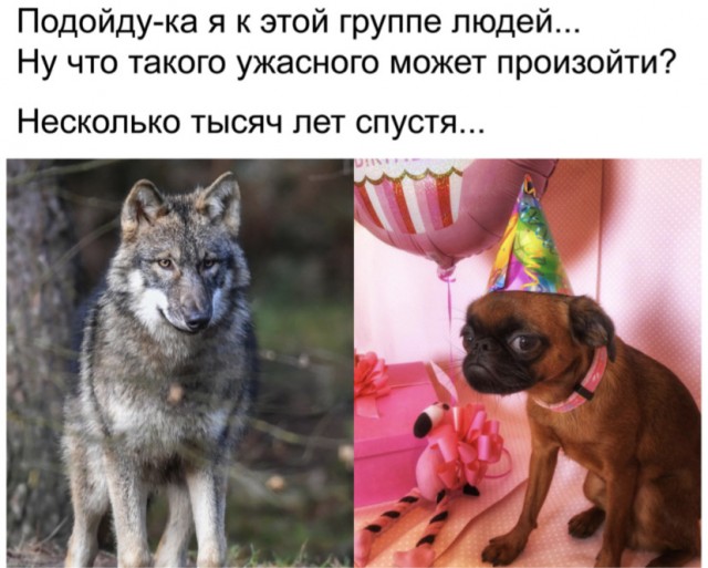 Это прикол?