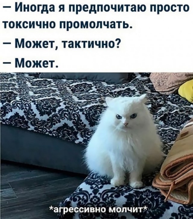 Картинки и мемы для настроения 12.07.2021
