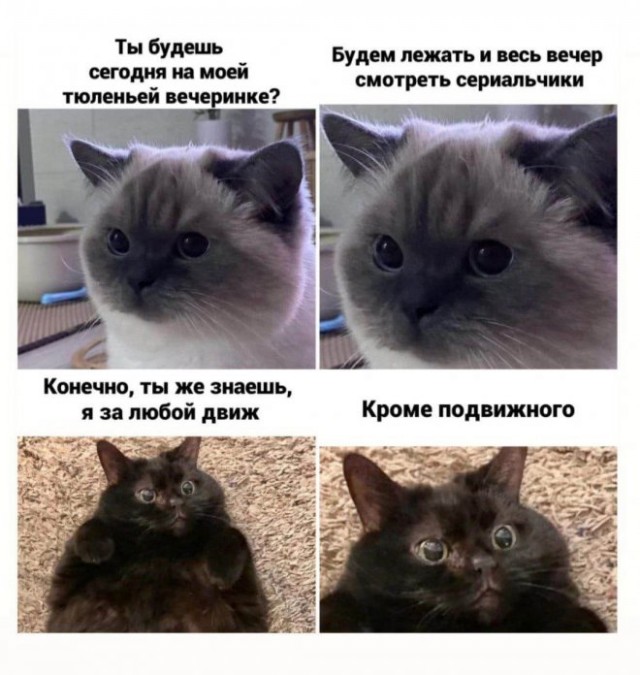 Бредзона 08.08.21
