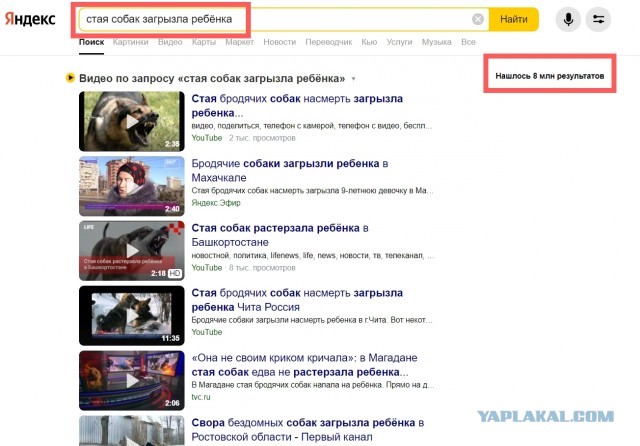 Про комментарии ЯПовчан о бродячих стаях