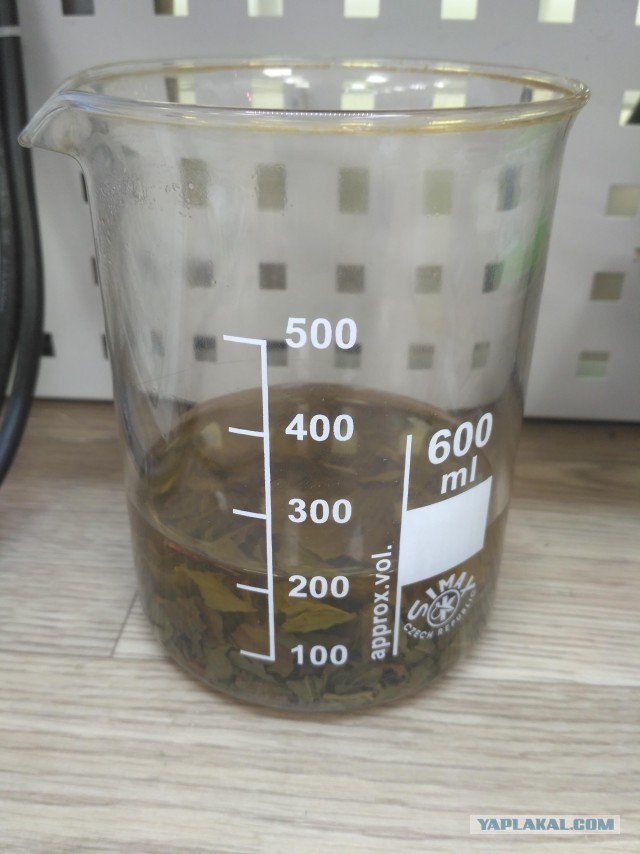 А из какой кружки вы пьёте на работе?