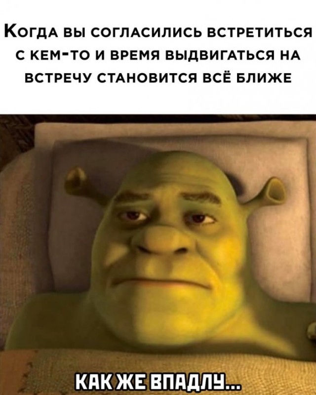 Картинки и мемы для настроения 01.11.2021