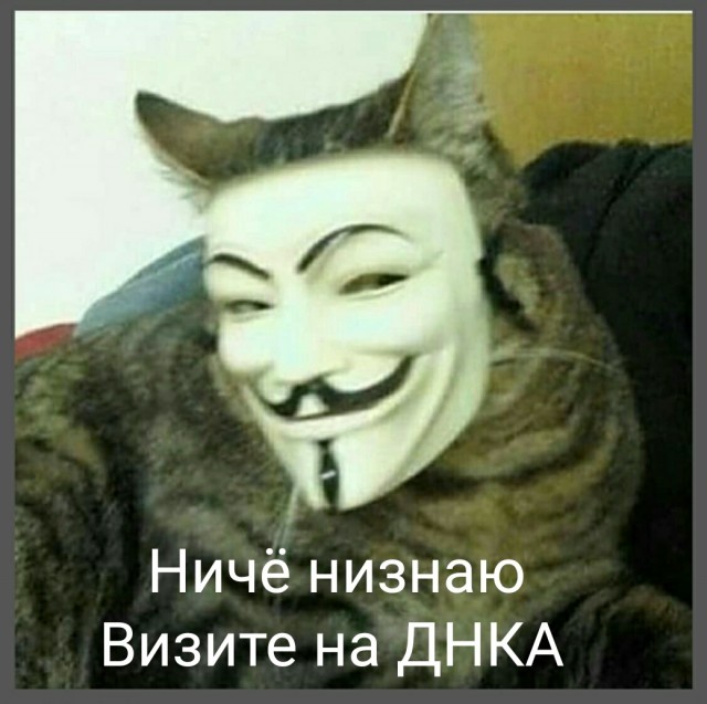 Пост одной картинки. Тест ДНК