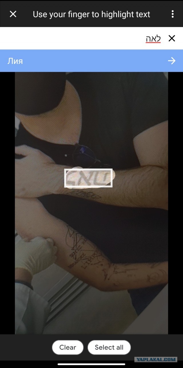 Татуировки министра культуры Нижегородской области вызывают вопросы