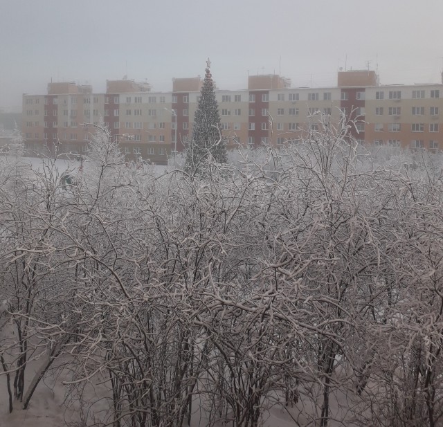 Из окна моего дома