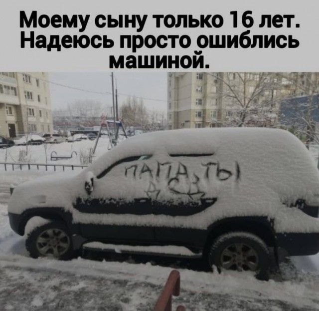 Всяческие картинки 29.12.2021