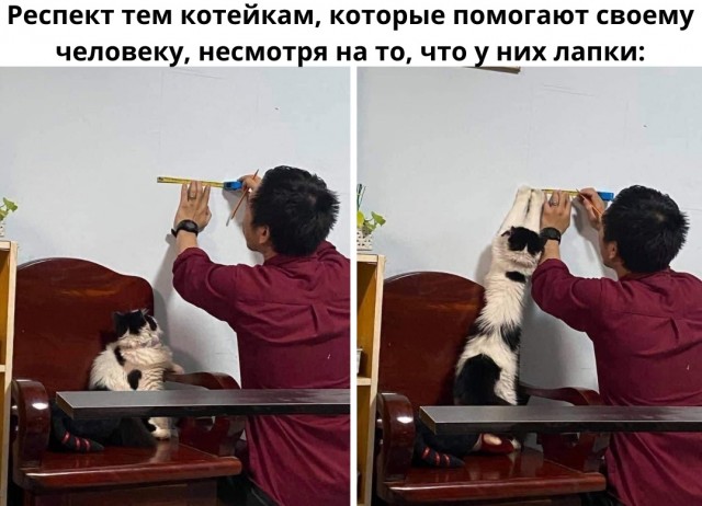 Так себе картинки 16.02.22