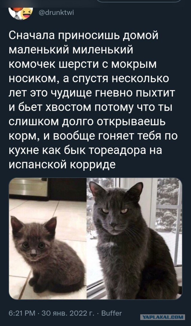 Баянисто-небаянистый юмор 21.02.22