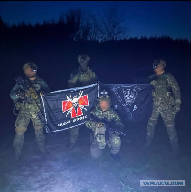 Пандемия. Коронавирус и съехавшие крыши. Россия и мир. Часть 34.