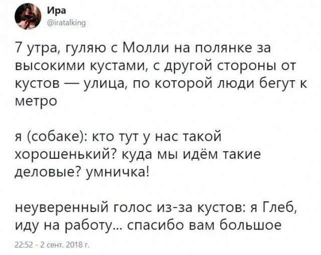 Так себе картинки 03.05.22
