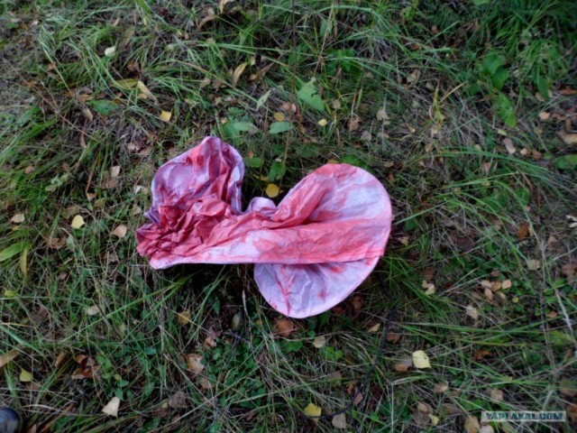 Генералы песчаного карьера