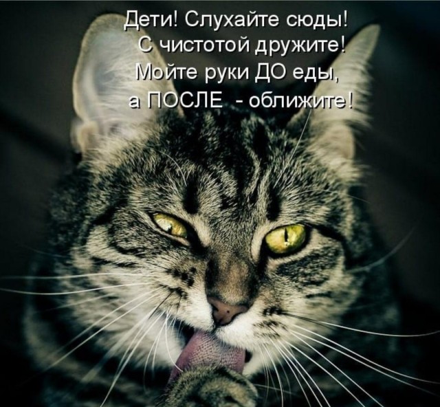 Так себе картинки 12.09.22