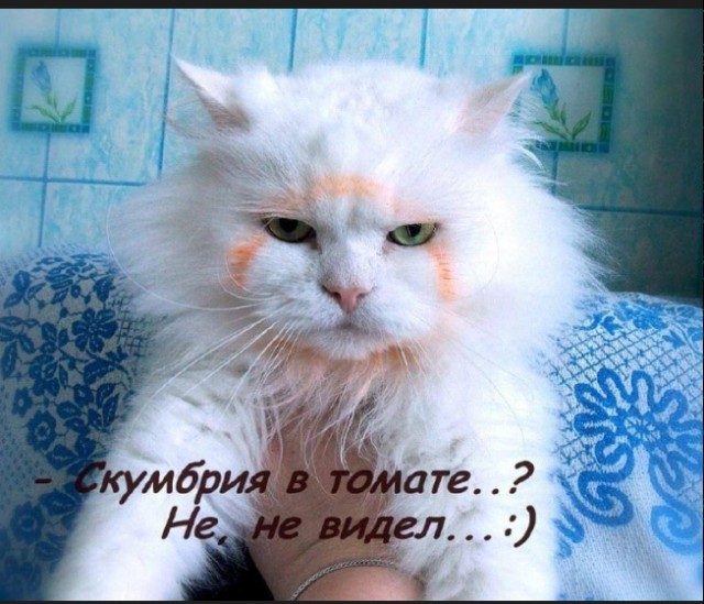 Картинки и мемы, всем хороших выходных