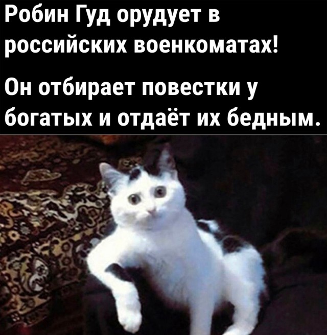 Так себе картинки 21.10.22