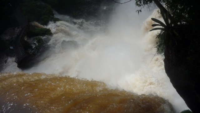Тайна воды