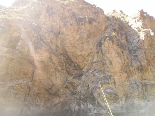 Рыбалки пост