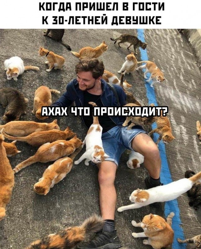 Картинки и мемы для настроения - 119