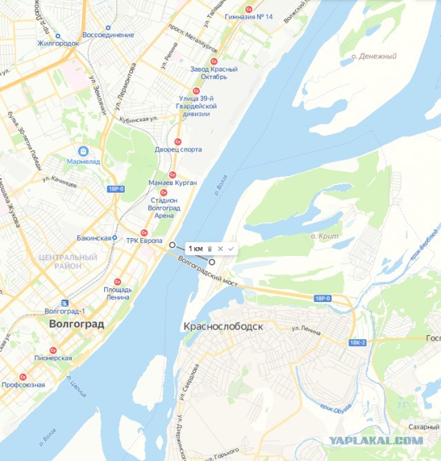 Вечеринка у бассейна