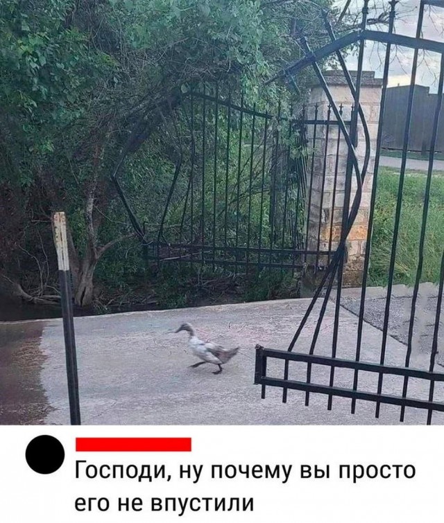 Прикольные и просто красивые картинки 12.05.2023