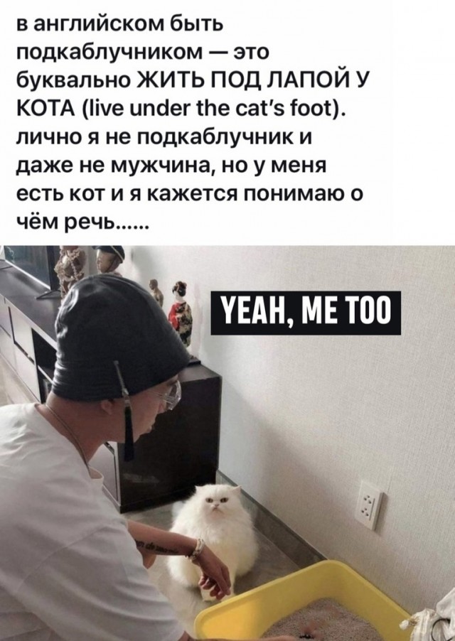 Чуток картинок 25.05.23