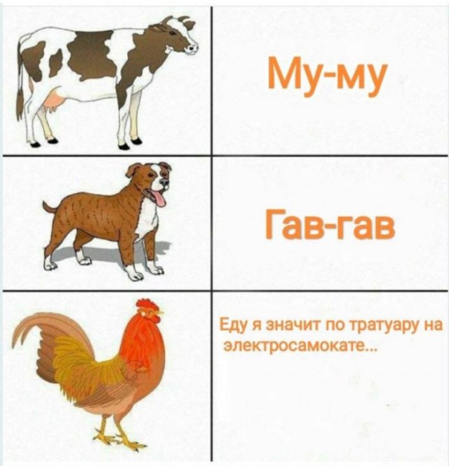 Так себе картинки 24.07.23
