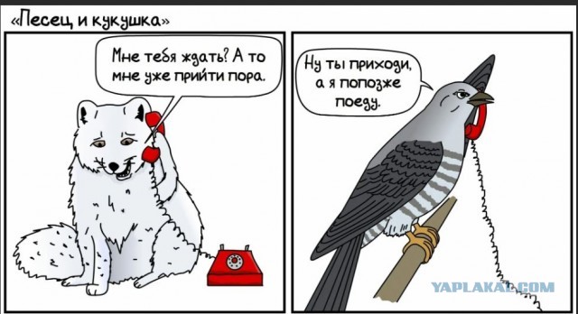 Школа джедаев. Начало