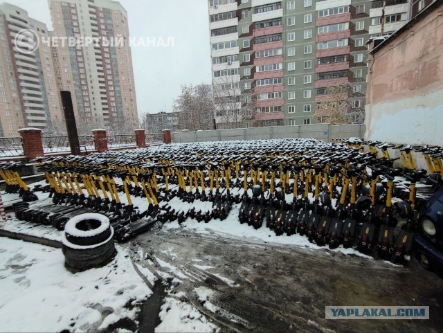 Петушеринг сворачивается !